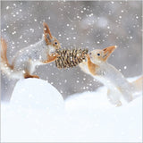 Photographic Fun Animals Boxed Christmas Cards