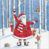 Illustrative Fun Santa Boxed Christmas Cards