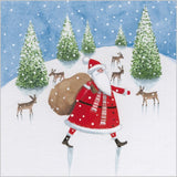 Illustrative Fun Santa Boxed Christmas Cards