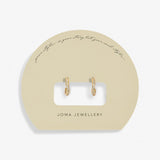 Soul Shine Pavé Wave Hoop Earrings In Gold Plating