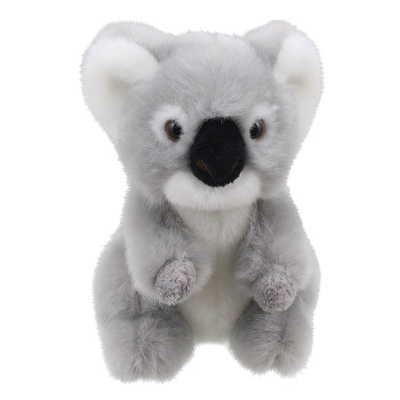 Wilberry Minis, Koala