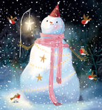 Festive Robins Boxed Christmas Cards