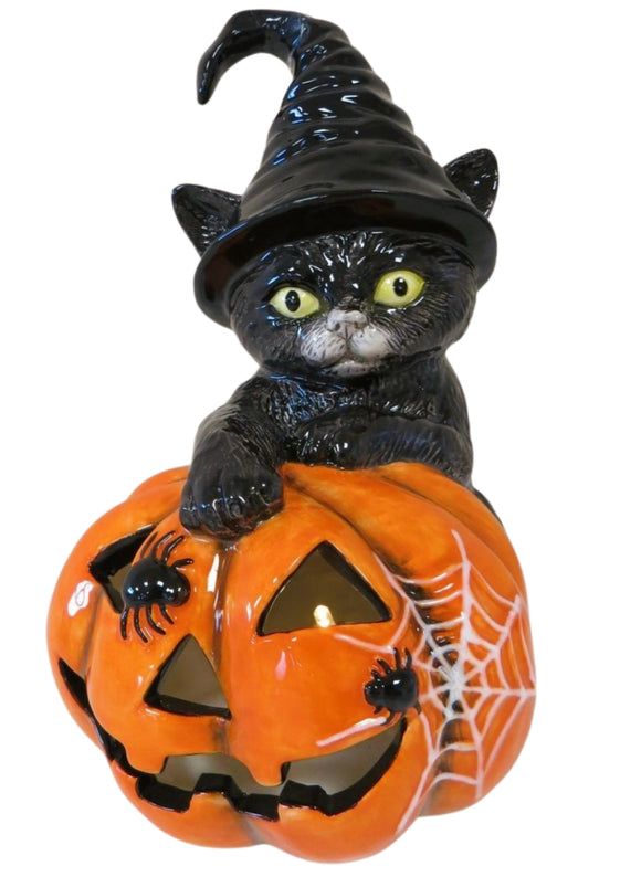 Cat With Pumpkin and LED