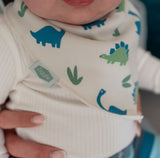 Dribble Bib - Dino Print