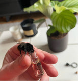 The Original Bee Revival Kit - Anthracite Grey Edition