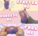 Boba Tea Stress Toy