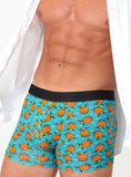 Eco-Chic Eco Friendly Men's Bamboo Boxers Highland Cow, Size Extra Large