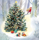 Festive Robins Boxed Christmas Cards