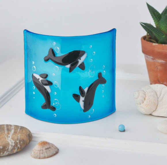 Whale Curve by Ann Maitland, Colour May Vary from Illustation