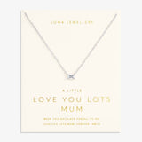 'Love You Lots Mum' Love From Your Little Ones Necklace