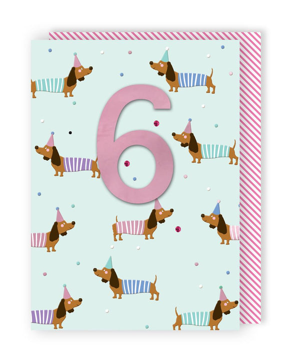 6 - Dachshunds In Party Hats