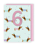 6 - Dachshunds In Party Hats