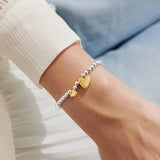 Boxed A Little 'Friendship' Bracelet in Silver and Gold Plating