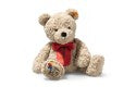 Steiff Jimmy Happy Birthday Teddy Bear 35cm