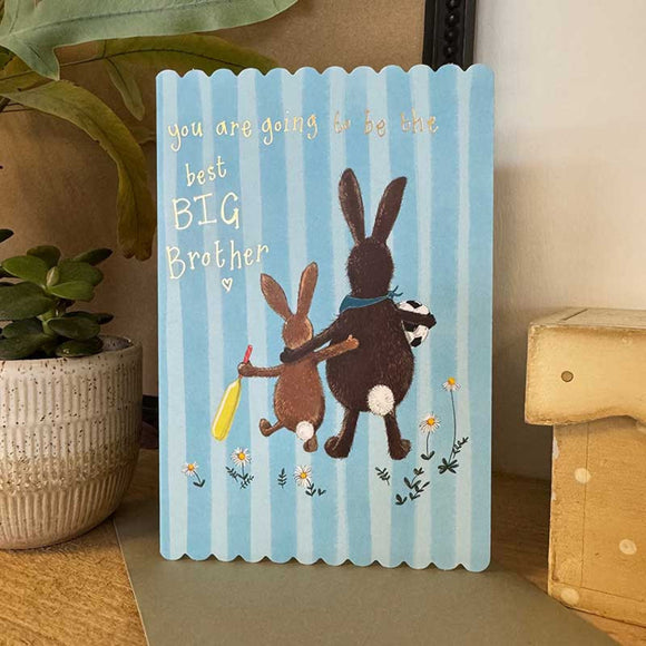 You Are Going To Be The Best Big Brother