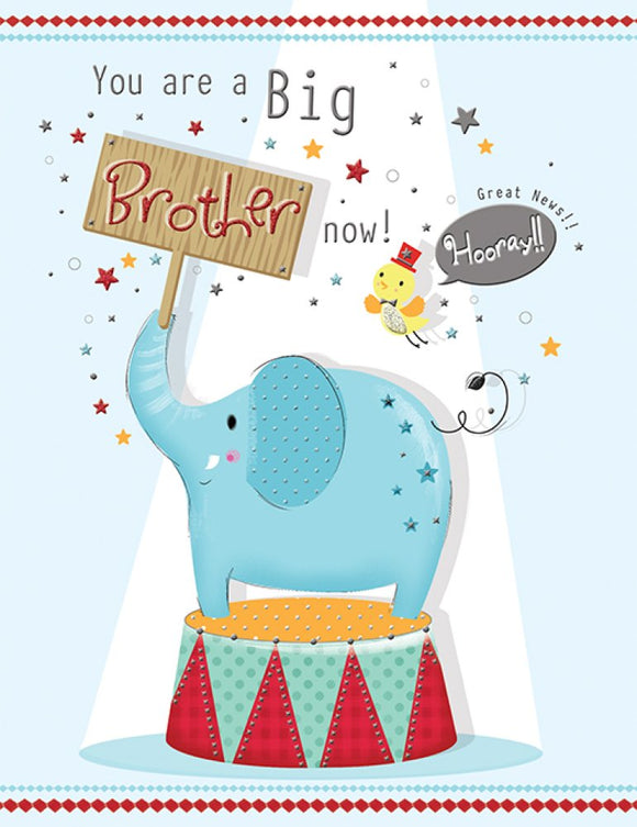 You Are A Big Brother Now Card