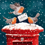 Box Of 27 Christmas Cards, 9 Cards Each Of 3 Designs - Festive Robins