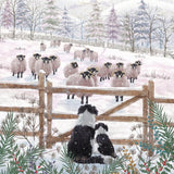 Box Of 27 Christmas Cards, 9 Cards Each Of 3 Designs - Festive Snowy Farm Animals