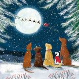 Box Of 27 Christmas Cards, 9Cards Of Each Design - Animals In Festive Woodland