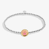 A Little 'Pawsitive Vibes' Bracelet In Silver and Gold Plating