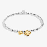 Boxed A Little 'Good Luck' Bracelet