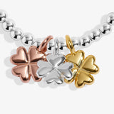 A Little Charmed Moments 'Luck'