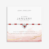 Birthstone A Little 'January' Bracelet
Garnet Stone