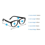 Joe Fern Sunglasses