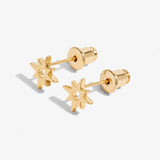 Beautifully Boxed 'Birthday Girl' Earrings