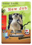 Good Luck in Your New Job