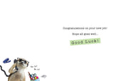 Good Luck in Your New Job