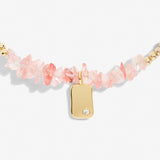 Pink Crystal Anklet In Gold Plating