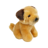 Wilberry Minis - Border Terrier