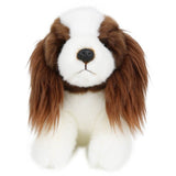 Wilberry Minis - Springer Spaniel