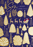 Son, Merry Christmas