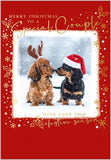 Merry Christmas To A Special Couple