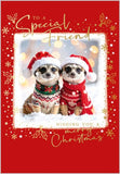 To Special Friends, Wishing You A Merry Christmas