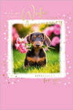 To My Lovely Wife On Our Anniversary - Dog With Flowers