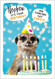 Nephew, It’s Your Birthday - Did Someone Say Cake?