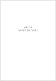 Birthday Wishes, Auntie
