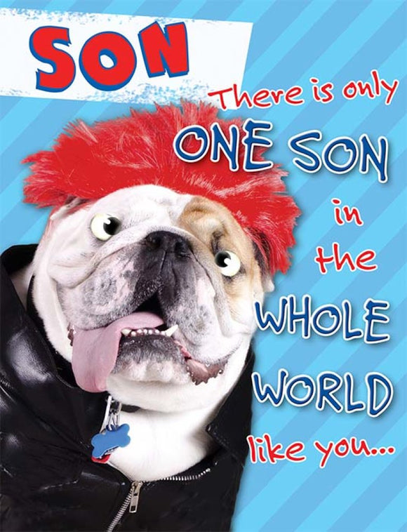 Son There Is Only One Son In The Whole World Like You