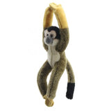 Squirrel Monkey -  Canopy Climbers