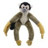 Squirrel Monkey -  Canopy Climbers