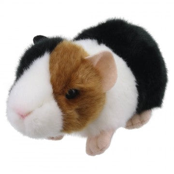 Wilberry Minis, Guinea Pig
