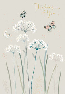 Thinking of You - Cow Parsley & Butterflies