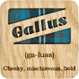 Gallus Square Coaster