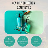 Sea Kelp Body Wash - Recycled Bottle 300ml