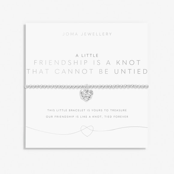 A Little 'Friendship Is A Knot That Cannot Be Untied' Bracelet