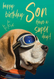 Son - Super Beagle