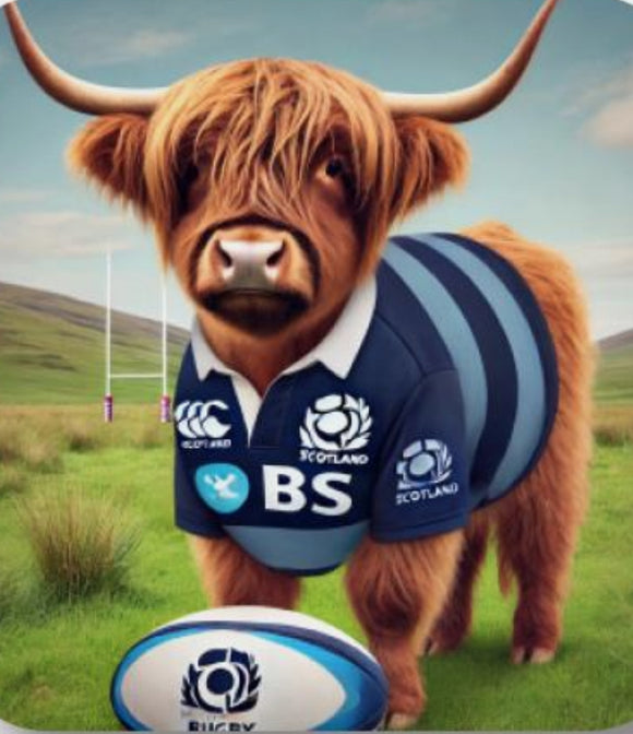 Scottish Highland Coo Cow In Scotland Rugby Top Single Coaster